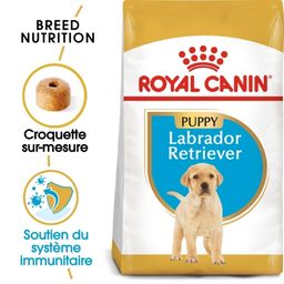 Royal Canin® Labrador Retriever Puppy