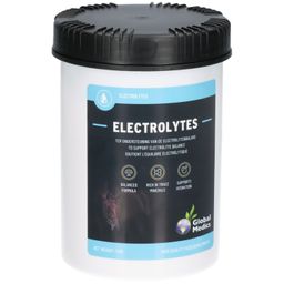 Global Medics Electrolytes pour Chevaux