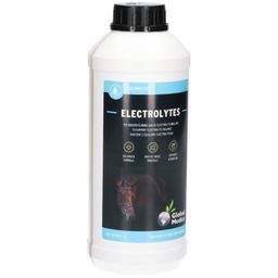 Global Medics Electrolytes Liquides pour Chevaux
