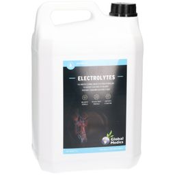 Global Medics Electrolytes Liquides pour Chevaux