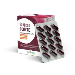 B-ijzer Forte