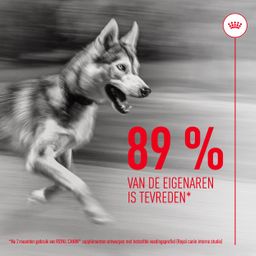 Royal Canin Joints & Ageing Chews Adult Supplements