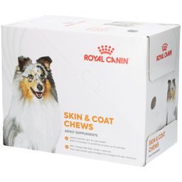 Royal Canin Skin & Coat Chews Adult Supplements