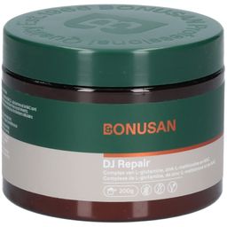 Bonusan DJ Repair
