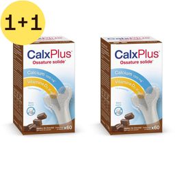 CalxPlus Chocolat  | Calcium | Os | Calcium – Vitamine D et Vitamine K | 1+1 GRATUIT