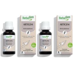 HerbalGem Artigem Bio | Gewrichten