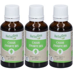 HerbalGem Zwarte Bes Bio TRIO