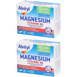 Alvityl® Magnésium Vitamine B6 | Libération Prolongée - Fatigue - 45 Jours