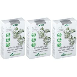 Soria Natural® 17-S Crataegus oxyacantha XXI Aubépine blanche