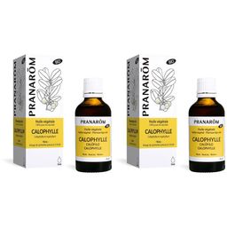 Pranarôm Huile Végétale Calophylle Bio