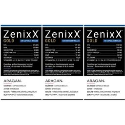 ixX Pharma ZenixX GOLD | Oméga-3 EPA & DHA, vitamines, minéraux & antioxydants