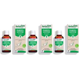 HerbalGem Wilde Kastanje Bio | Bloedsomloop