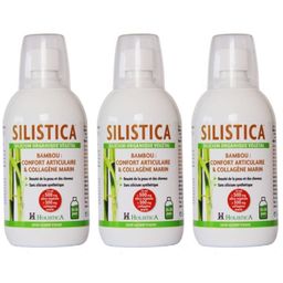 Holistica Silistica Silicium