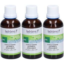Ladrôme Gingembre Extrait Végétale