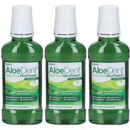 AloeDent Bain de Bouche à l’Aloe Vera Sans Fluor