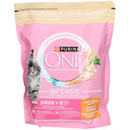 Purina ONE Junior Kip