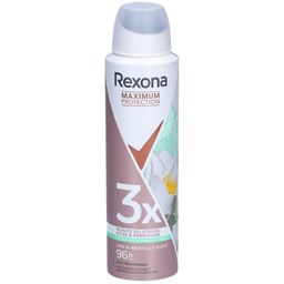 Rexona® Women Anti-Transpirant Max Déodorant en spray Maximum Protection 96 H Lime & Waterlily