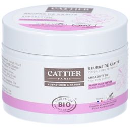 Cattier Beurre de Karité Parfum Fleur des Îles