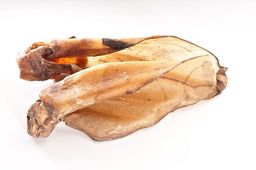 mascota vital - oreilles de bœuf avec coquillage chien