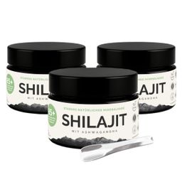 VitalizeNature Shilajit + Ashwagandha – Testé en laboratoire par l’institut Prüfengel