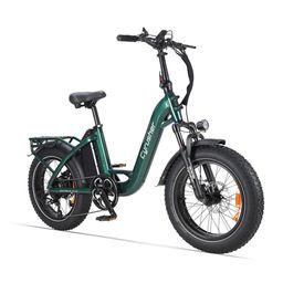 CYRUSHER Rumble 2.0 Vélo électrique avec batterie 48V 18Ah