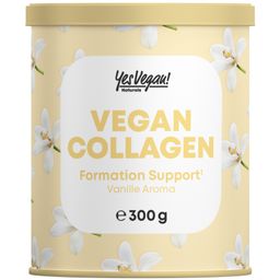 Poudre de Collagène Vegan (300 g) avec vitamines A C E, biotine, silicium, zinc - alternative au