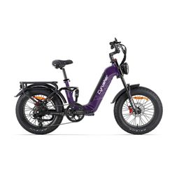 CYRUSHER Kommoda 3.0 Vélo cargo électrique avec batterie 48V 20Ah