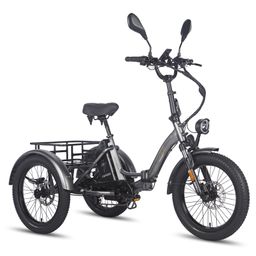 Fafrees F20 Mate Tricycle cargo électrique avec batterie 48V 21Ah