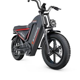 G-FORCE ZM PRO Elektrische mountainbike met 52V 40AH accu en dubbele vering