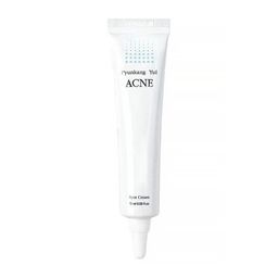 PYUNKANG YUL - Acne Spot Cream