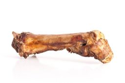 mascota vital - paardenbot met pees hond