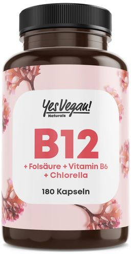 Vitamine B12 hautement dosée à 500 µg (180 gélules = 6 mois) avec cofacteurs B6 et acide folique