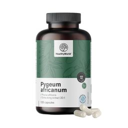 HealthyWorld Pygeum – Extrait de prunier d’Afrique