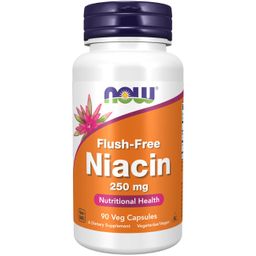 Now Foods Flush-Free Niacin 250 mg