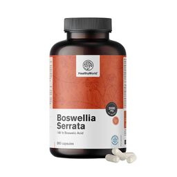 HealthyWorld Wierook (Boswellia serrata) - 85% boswelliazuren