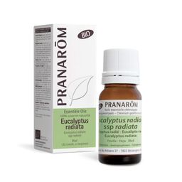 Pranarôm Etherische Olie Eucalyptus Radiata Bio | Luchtwegen