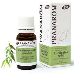 Pranarôm Etherische Olie Eucalyptus Radiata Bio