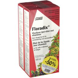 Salus Floradix Élixir de Fer DUO Prix Réduit