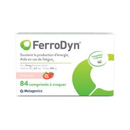 FerroDyn