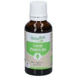 HerbalGem Zwarte Bes Bio