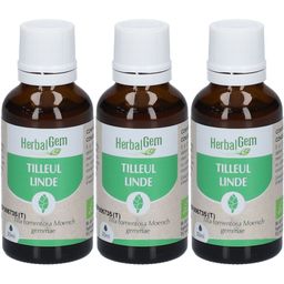 HerbalGem Tilleul Bio TRIO