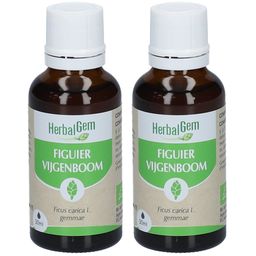 HerbalGem Vijgenboom Bio
