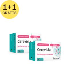 Cerevisia 1+1 GRATIS