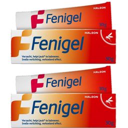 Fenigel