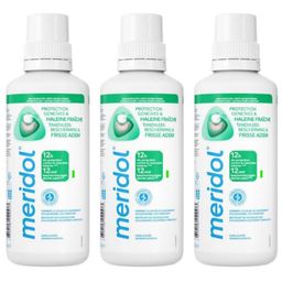 meridol Protection Gencives & Haleine Fraîche