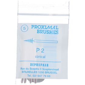 Proximal Borstel P 2 Konisch