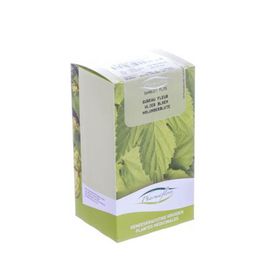 Pharmaflore Fleur de Sureau
