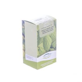 Pharmaflore Roomse kamillebloem