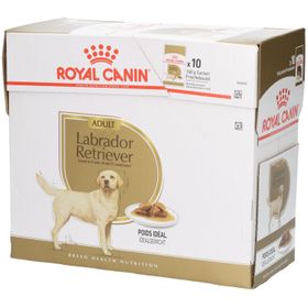 Royal Canin BHN Labrador Retriever Aliment humide pour chiens