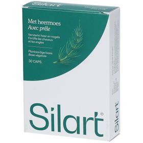 Silart